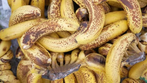 close up of a bunch of ripe bananas with brown spots