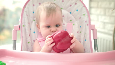 adorable baby eating red pepper. healthy baby food. baby tasting vegetable