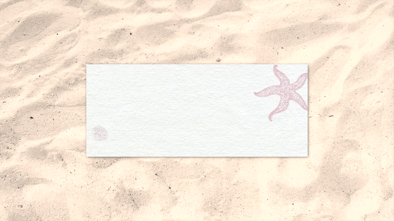 animales marinos en la arena de la playa