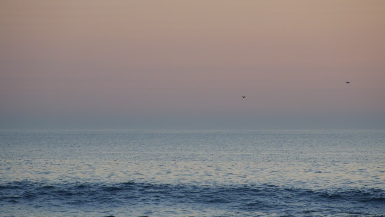 Birds crossing sky during sunset on a beach in Portugal.