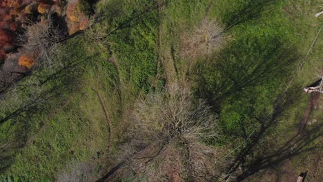 aerial: zenital shot of a cliff on the edge of a plateau