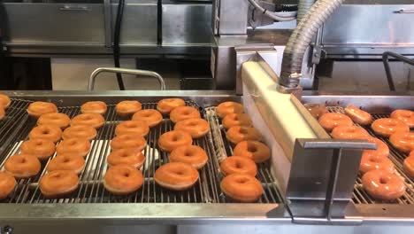 hundreds of fresh ring doughnuts being glazed by a continuous wall of liquid sugar