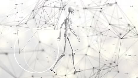 animation of walking skeleton over network of connections on white background