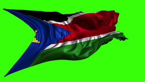 flag of south sudan