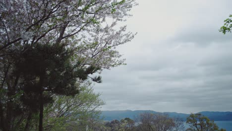 cherry blossoms and lush greenery frame a serene view of a calm lake and distant mountains