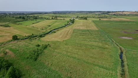 Flying-through-Polish-nature-reserve-"Beka"