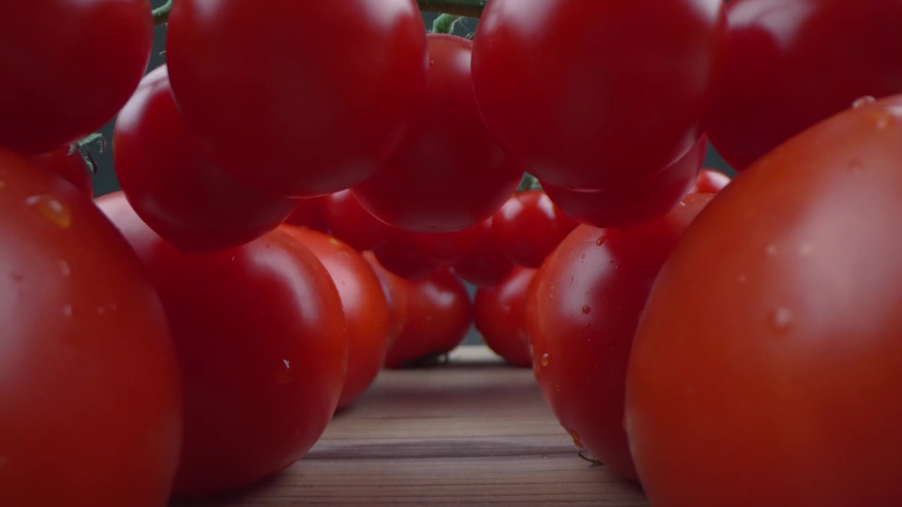 Blick durch ein Sondenobjektiv, der sich durch frische rote Tomaten mit Wassertropfen bewegt