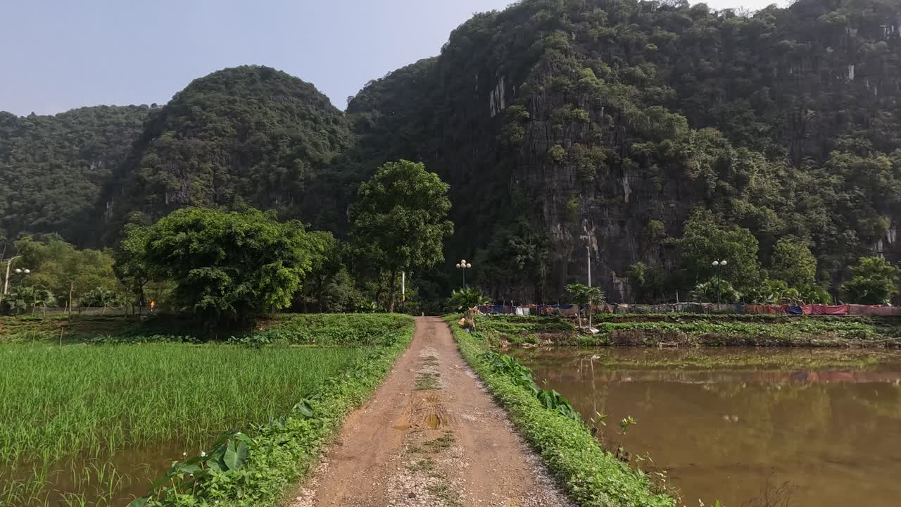 평온한 시골 풍경을 가로질러의 여행