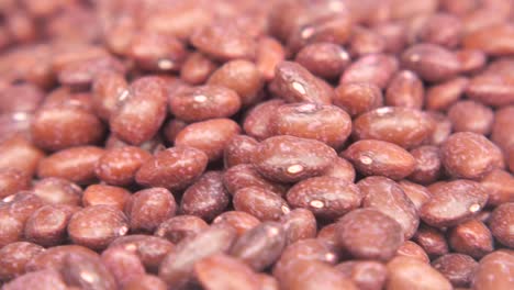 pile of red beans