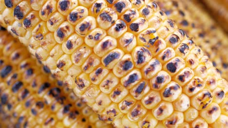 grilled corn cob close-up