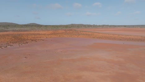 clip de drone que muestra el desierto estéril de australia occidental con un rico suelo naranja y un cielo azul