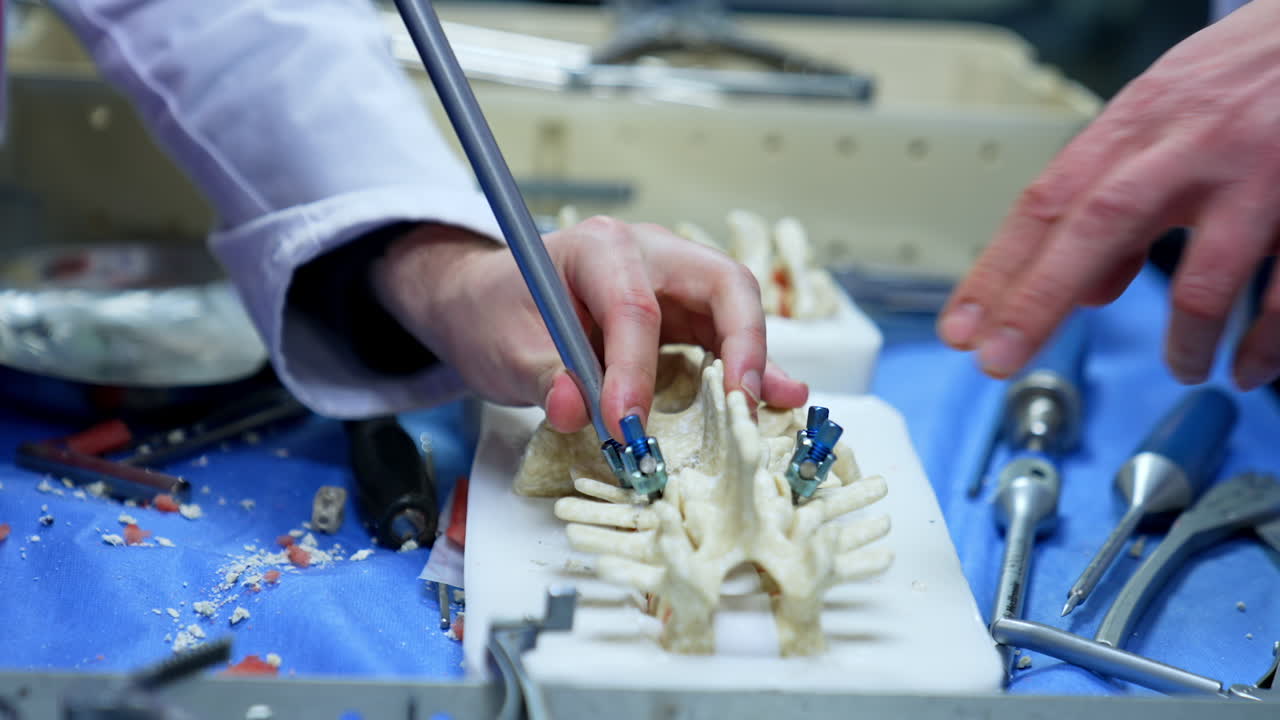 Four little metal parts of a tool are places between the bones of the spine mock-up. Male hands apply an instrument to fasten the details on the dummy. Neurosurgery practice. Close up.