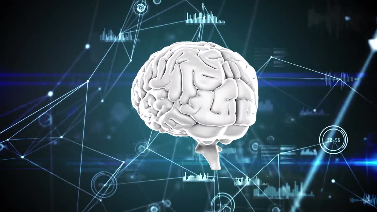 그래프와 코드를 가진 디지털 뇌