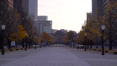 approach to tokyo station lined with bright autumn colored trees during morning