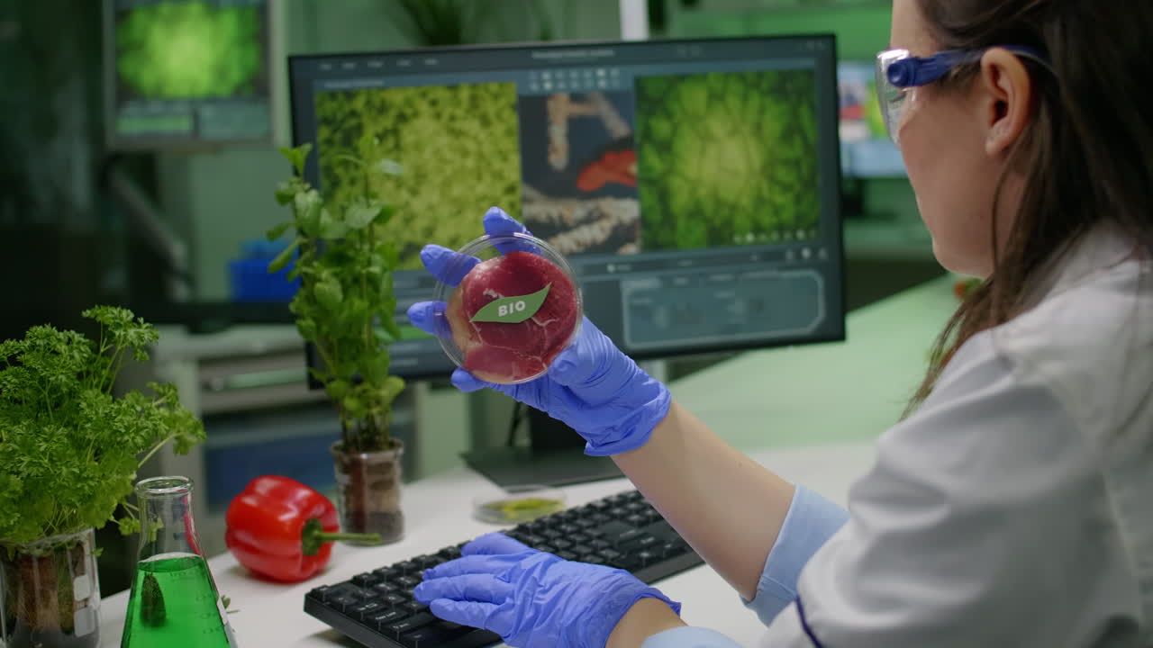 Chemist researcher holding petri dish with vegan meat in hands