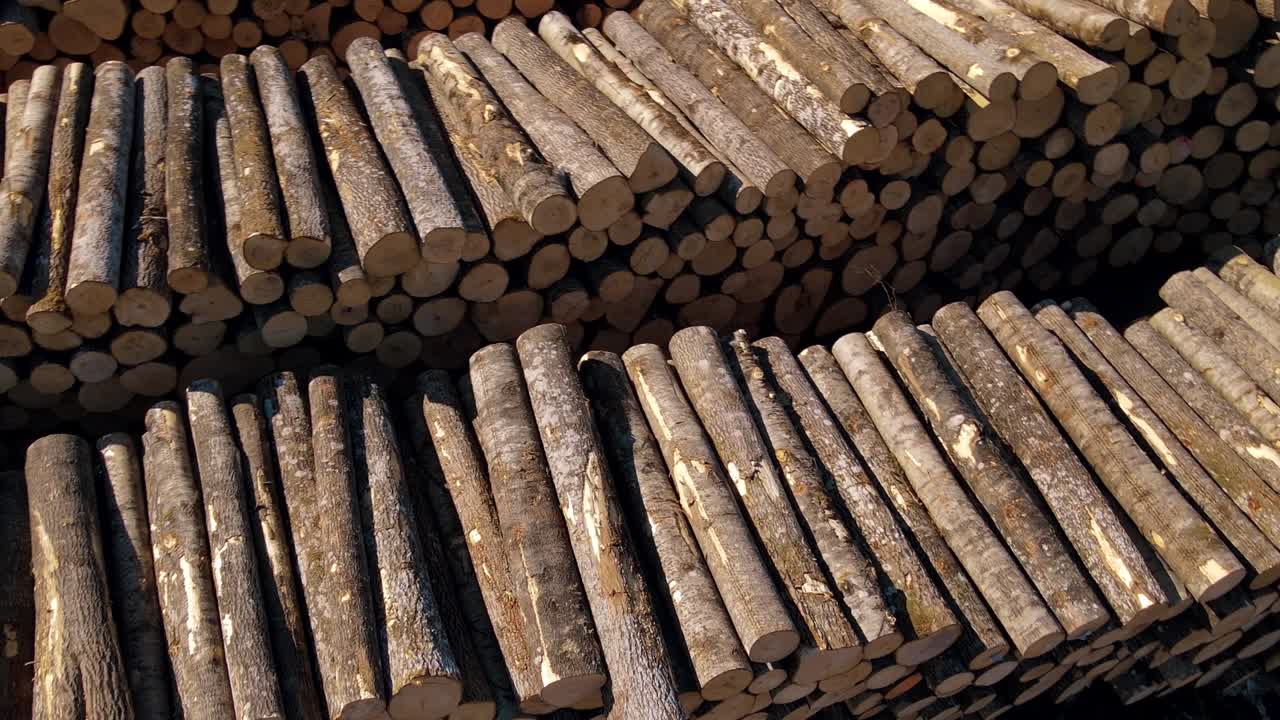 나무 통나무에서 드론 촬영