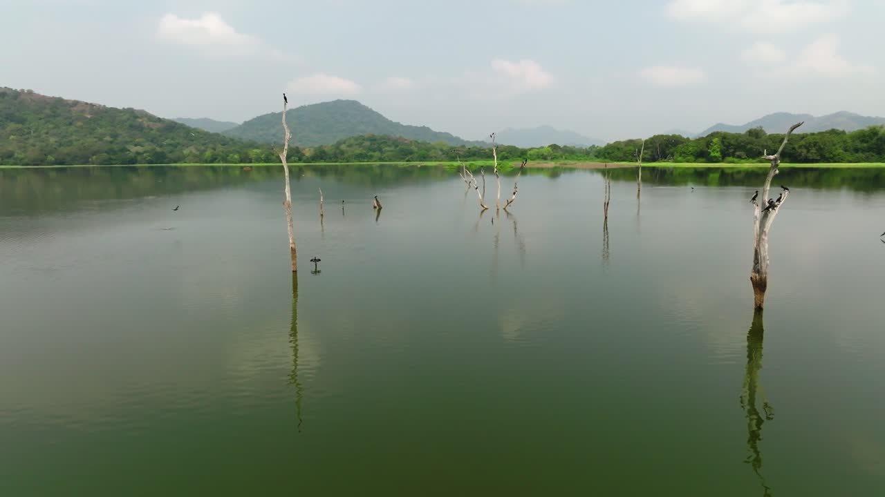 Sri Lanka aerial drifting past tree snags in a tranquil reservoir; green banks and layered hills form the backdrop with soft cloud reflections on the water