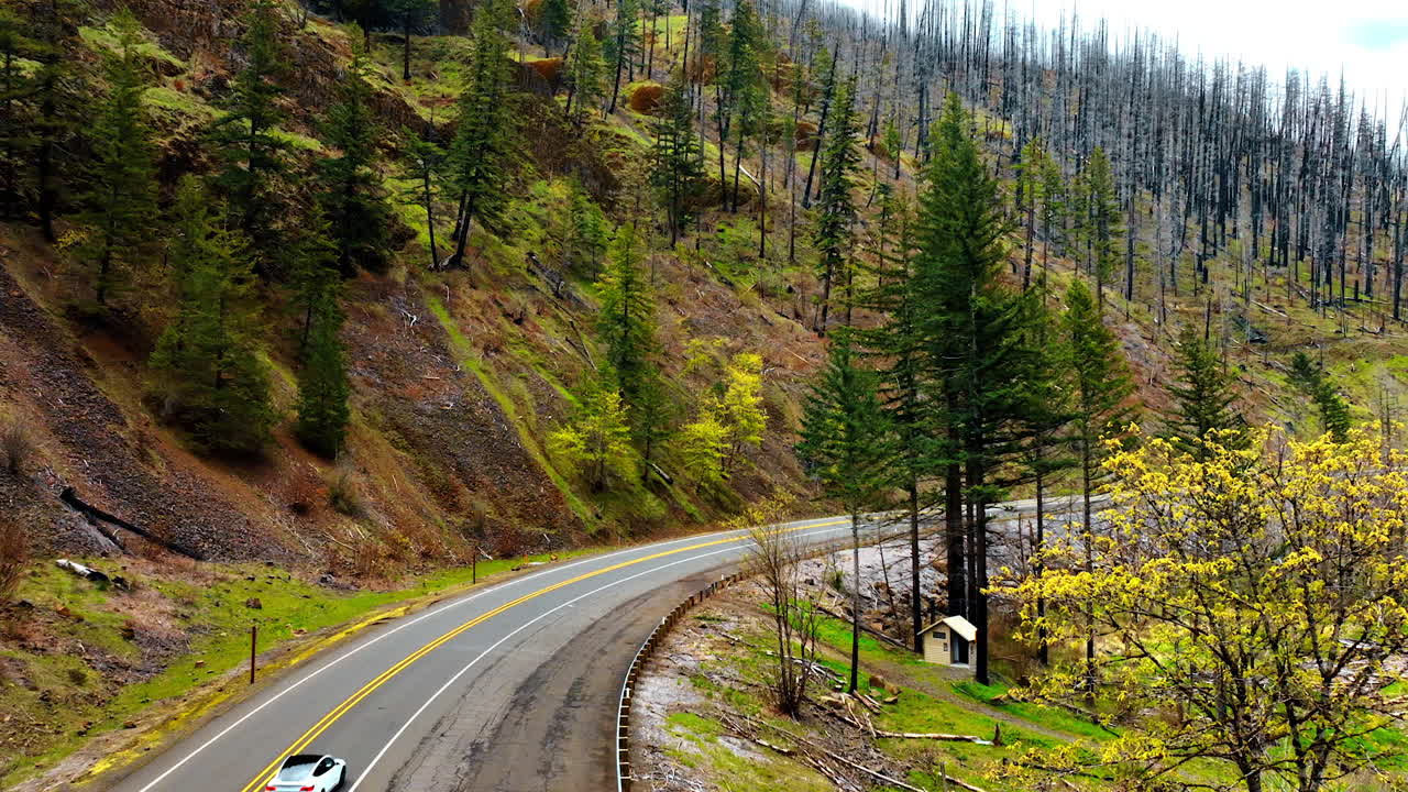 White car goes by the highway in the mountains. Beautiful rocky landscape with pine trees and dry trunks on.