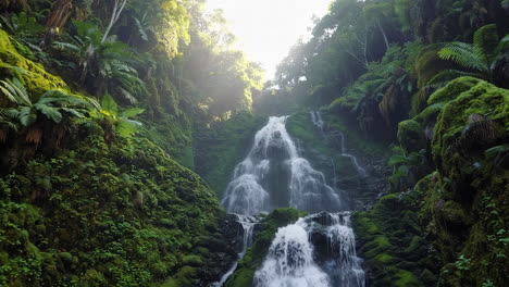 majestic waterfall in a lush forest