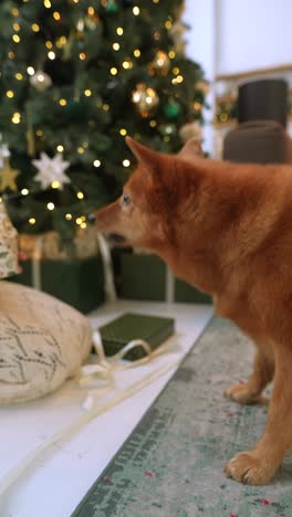 niña emocionada y perro abriendo regalos de navidad