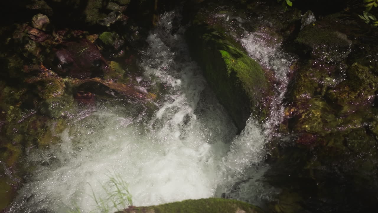 Foamy water falls down from steep rocks in running river slow motion. Mountain creek liquid sprays and stones in virgin forest. Discovery wild nature