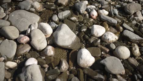 close-up static shot of rounded river stones submerged in crystal-clear shallow water. gentle sunlight reflects off the wet surfaces, creating natural highlights.