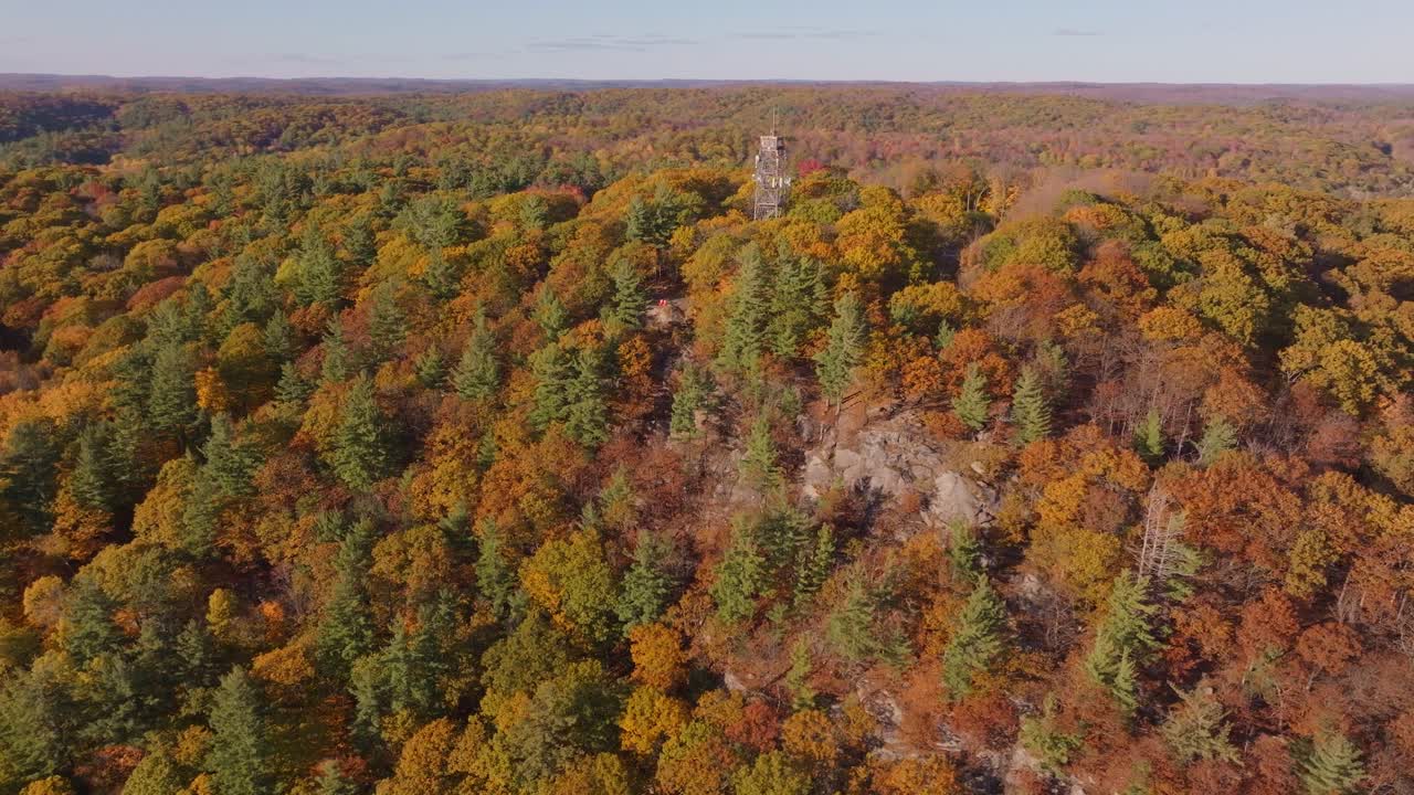 Dorset Lookout Tower rises above vibrant autumn forest in Ontario, aerial view