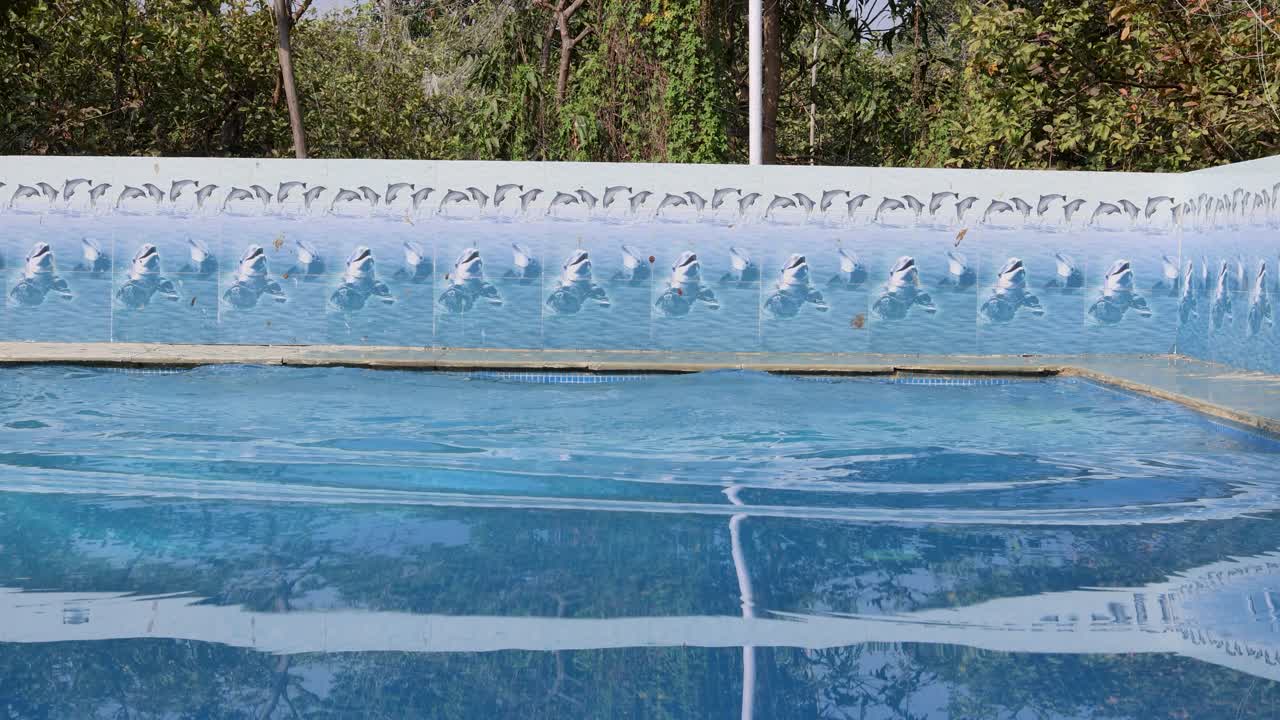 고립 된 젊은이 가 아침 에 은 물 을 가진 수영장 에 다이빙 하고 있다