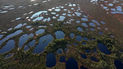 peat bog or marsh landscape in estonia nature reserve, forward aerial