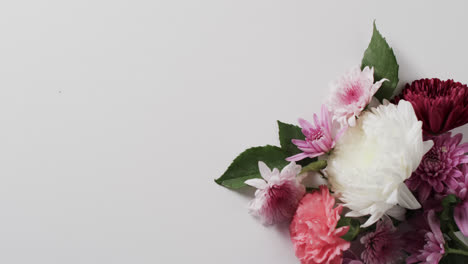 Video-of-bunch-of-pink-and-white-flowers-and-copy-space-on-white-background