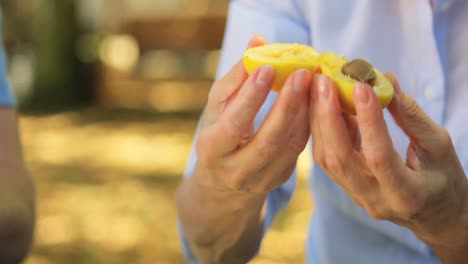 senior couples removing seeds of apricot fruits in garden