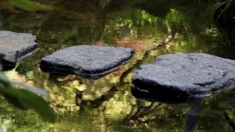 Zwei-Freunde-überqueren-Trittsteine-In-Einem-Reflektierenden-Pool