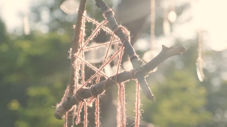 Installazione creativa di materiali naturali appesa a un albero sullo sfondo di un tramonto, amuleto.