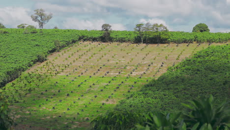 Featuring-a-panoramic-view-of-rolling-hills-bathed-in-soft-sunlight,-the-scene-is-brought-to-life-by-the-mesmerizing-dance-of-moving-cloud-shadows-across-the-landscape