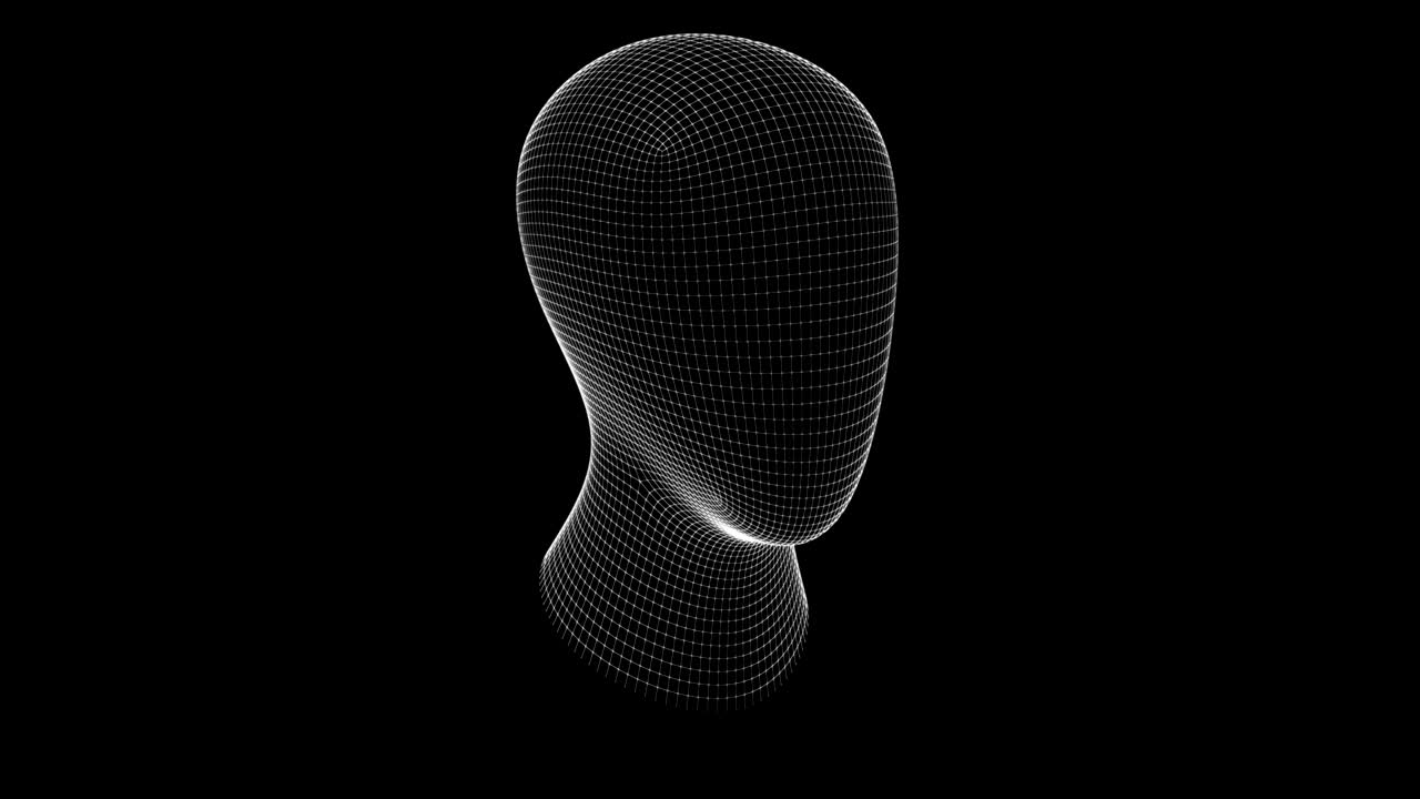 The mesh of a head. Looping footage has 4K resolution.