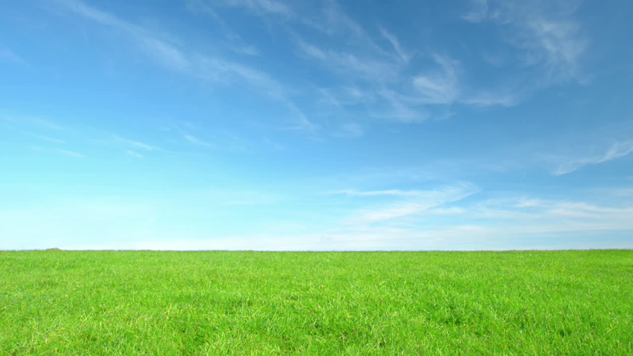 Run until you can't anymore