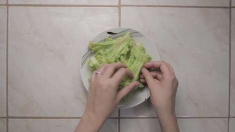 close-up on female hands separating chinese cabbage leaves and putting on a plate