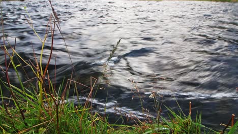 Static-shot-of-a-river-that-come-from-Seljalandfoss-one-of-the-most-beautiful-waterfall-in-iceland-in-summer