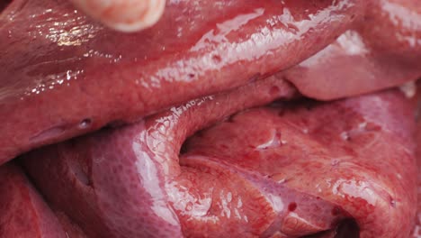 close-up of raw liver