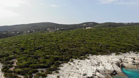 lush vegetation on the coast of alexia beach in greece - aerial drone shot