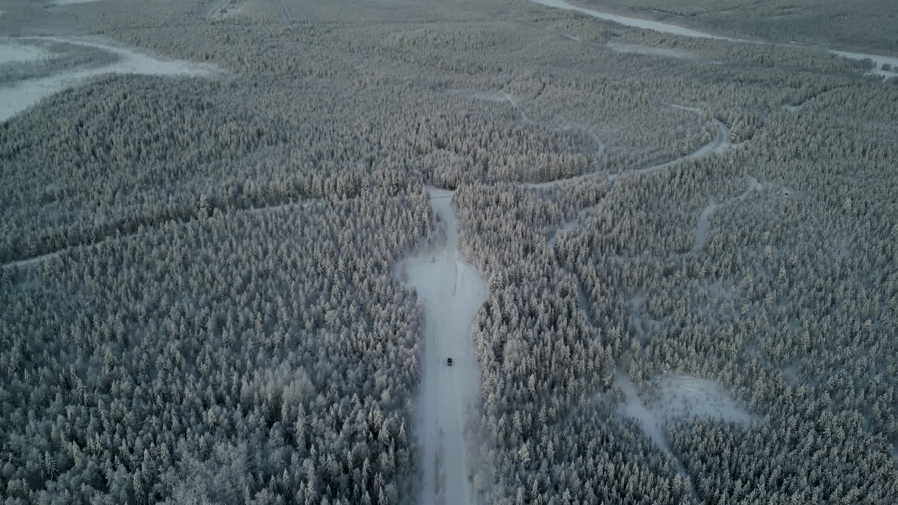 на снимке, сделанном беспилотником, изображен черный фургон, движущийся по заснеженному лесу в луосто, финляндия, недалеко от северного полярного круга.