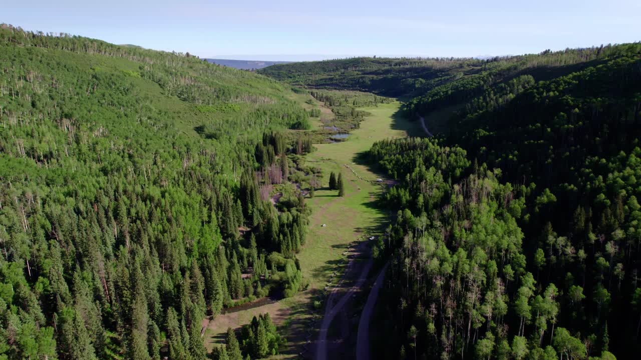 Aerial Drone shot of green meadows and forests | Blue Lakes Trail, Colorado