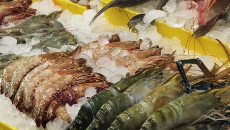 fresh seafood at the market