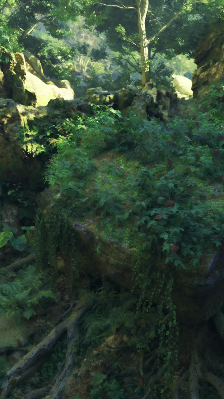 Lush greenery and rocky terrain in a vibrant forest setting