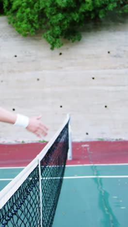 jugadores de tenis dándose la mano