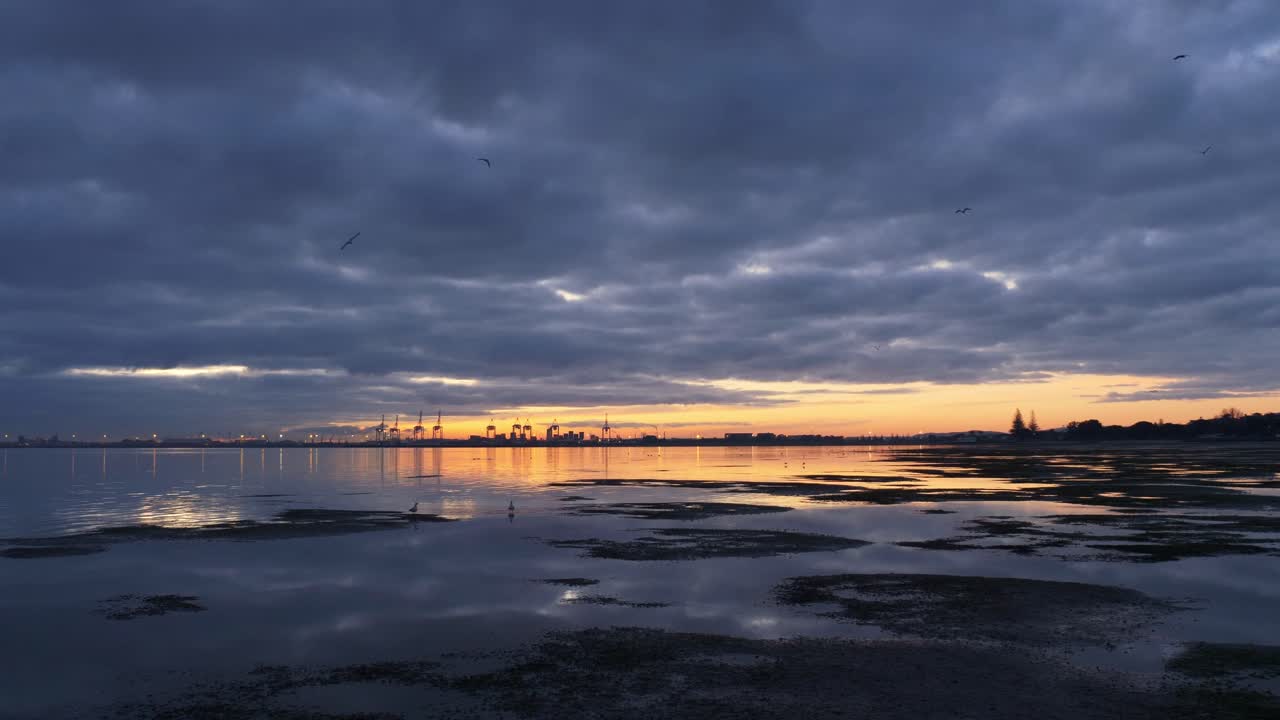 뉴질랜드의 타우랑가 항구 건너편 타우랑가 항구에서 새들이 하늘을 나는 일출 풍경