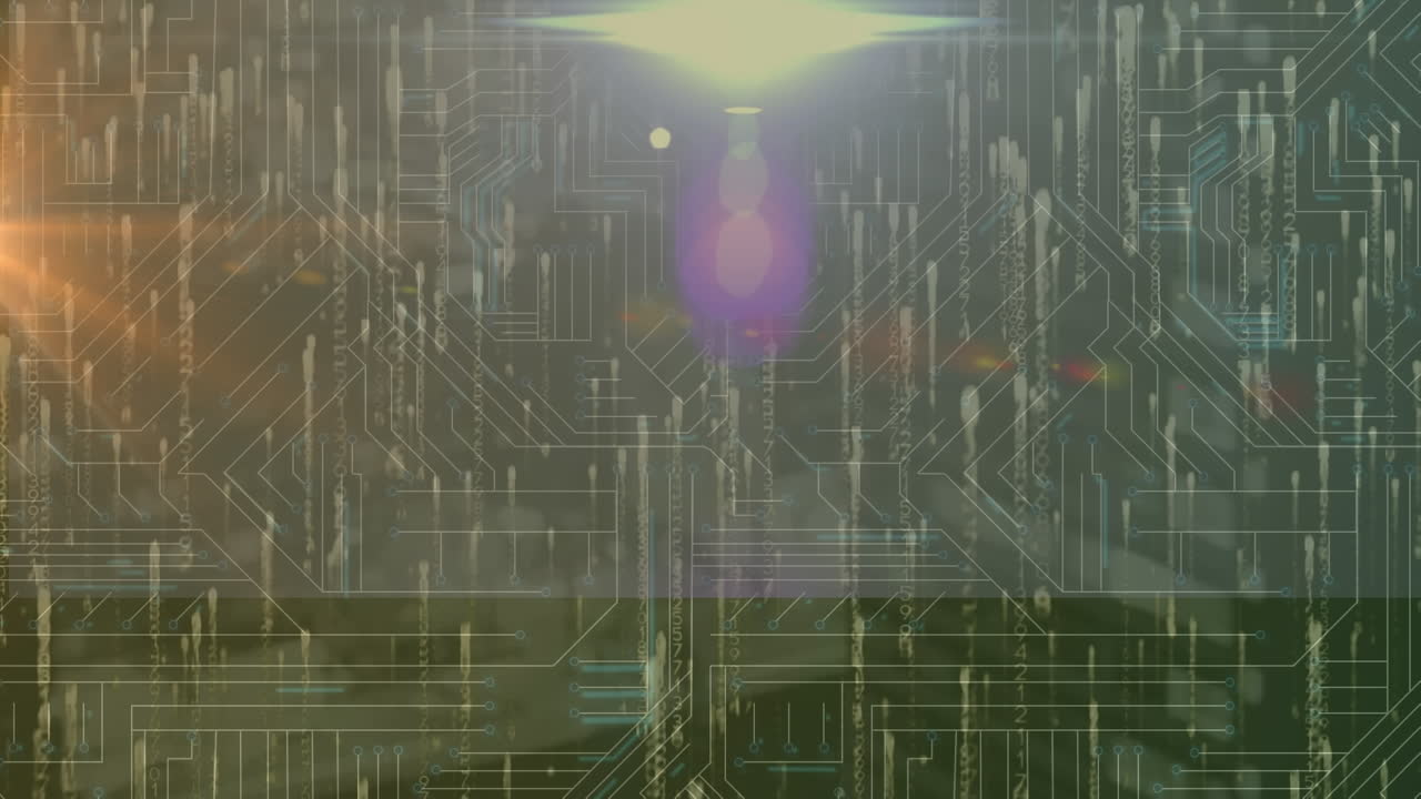 연결 네트워크를 통해 데이터 처리의 애니메이션