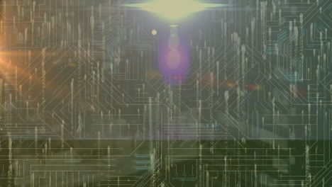 animation of data processing over network of connections