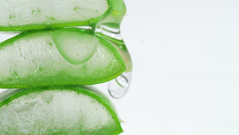 close up of slices of fresh green aloe vera plant stacked pieces of leaves with transparent extract gel flows through the ingredients. natural medical plant for organic cosmetics. vertical