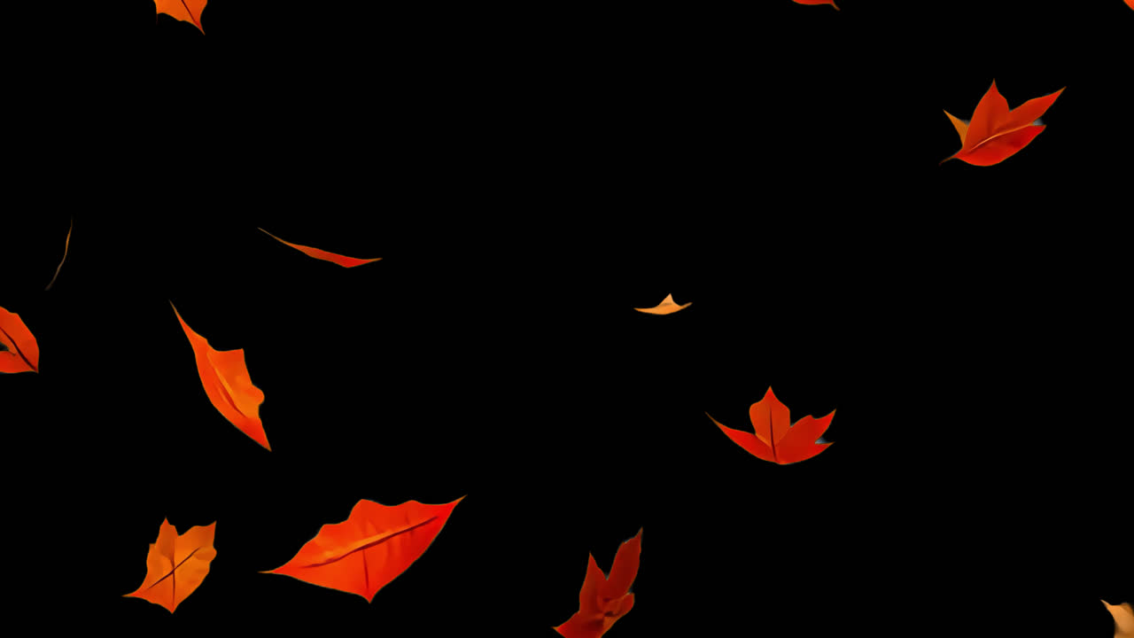 Falling autumn leaves animated overlay, transparent 4K video, alpha channel, ProRes 4444